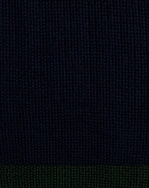 Bleu de Lausanne – vert